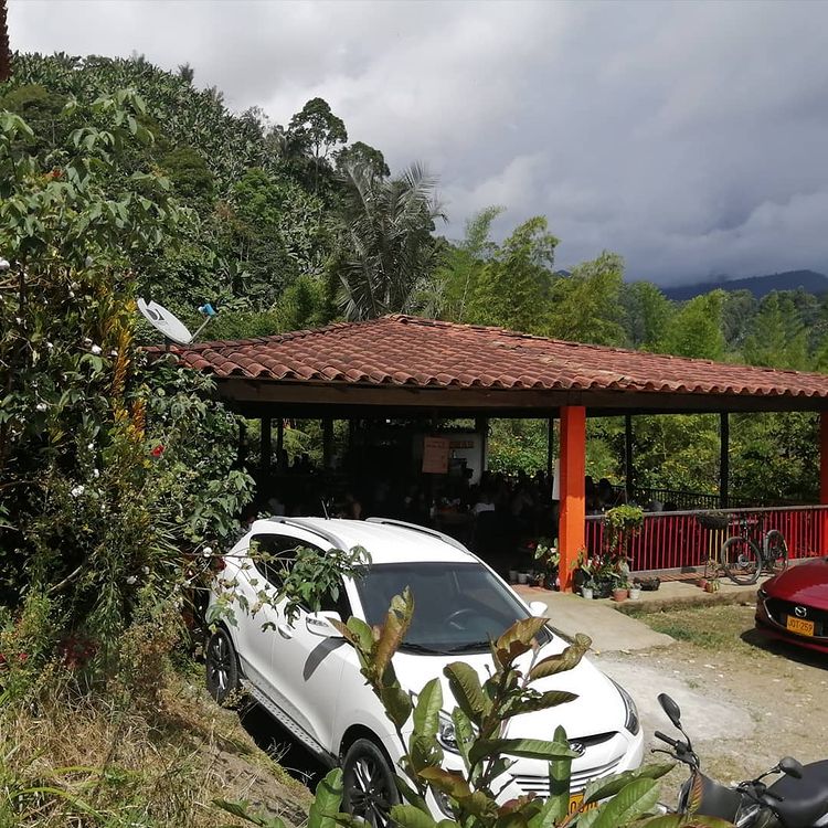 Trucha jardin ¿Dónde comer en Jardín Antioquia? [2023]